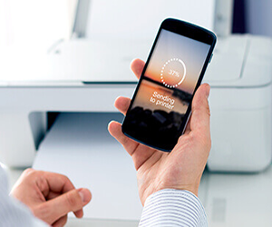 hp printer setup software downloads